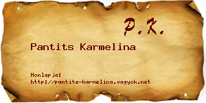 Pantits Karmelina névjegykártya